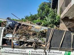 Best Attic Cleanout  in Roselle, NJ